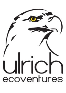 Ulrich